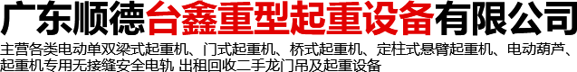 廣東順德台鑫重型起重設備有限公司 